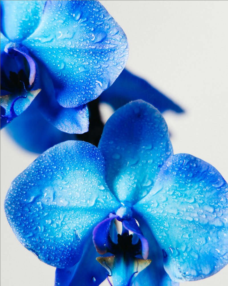 Avara Face Replenish with Hypochlorous Acid