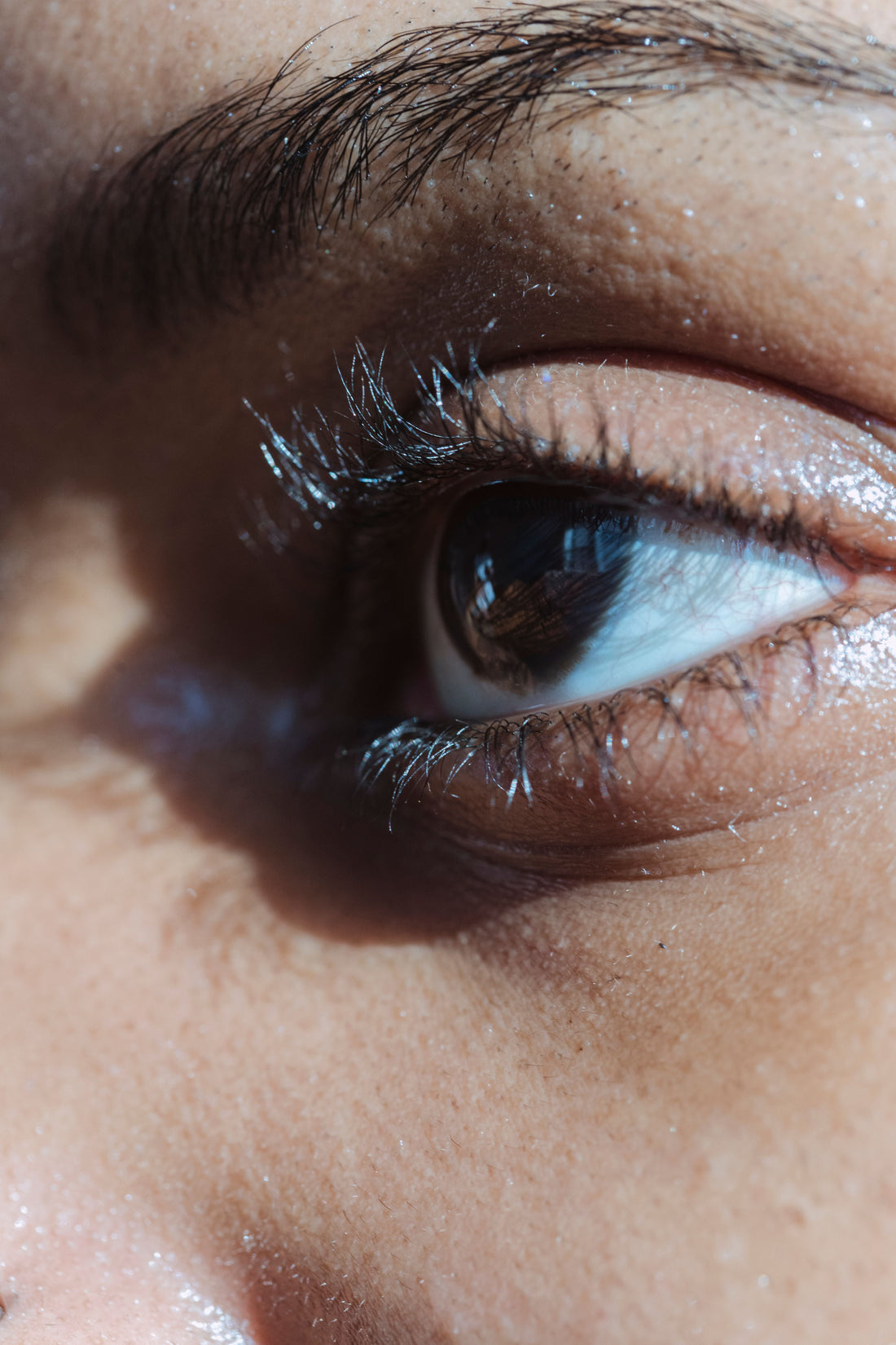 All About Lash Loss