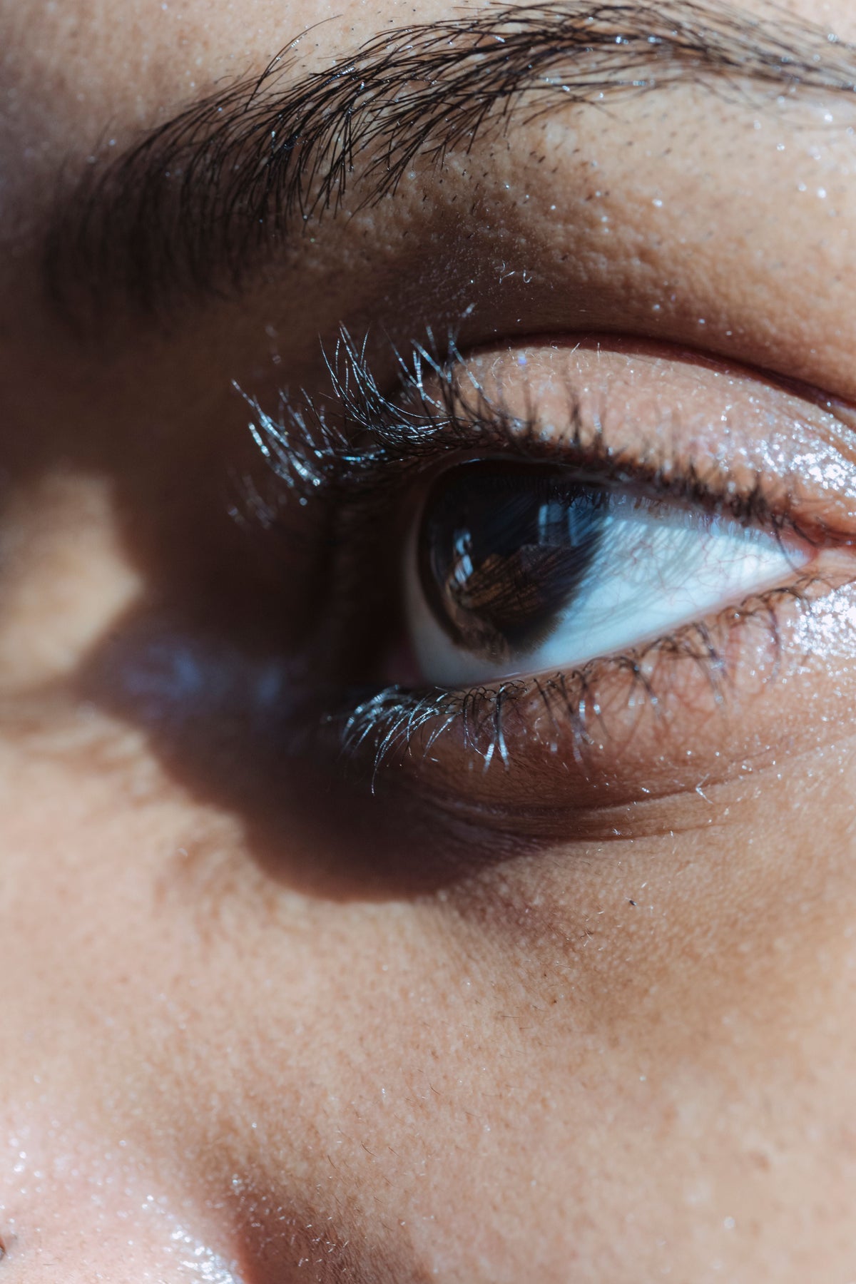 All About Lash Loss