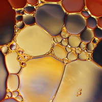 CERAMIDES